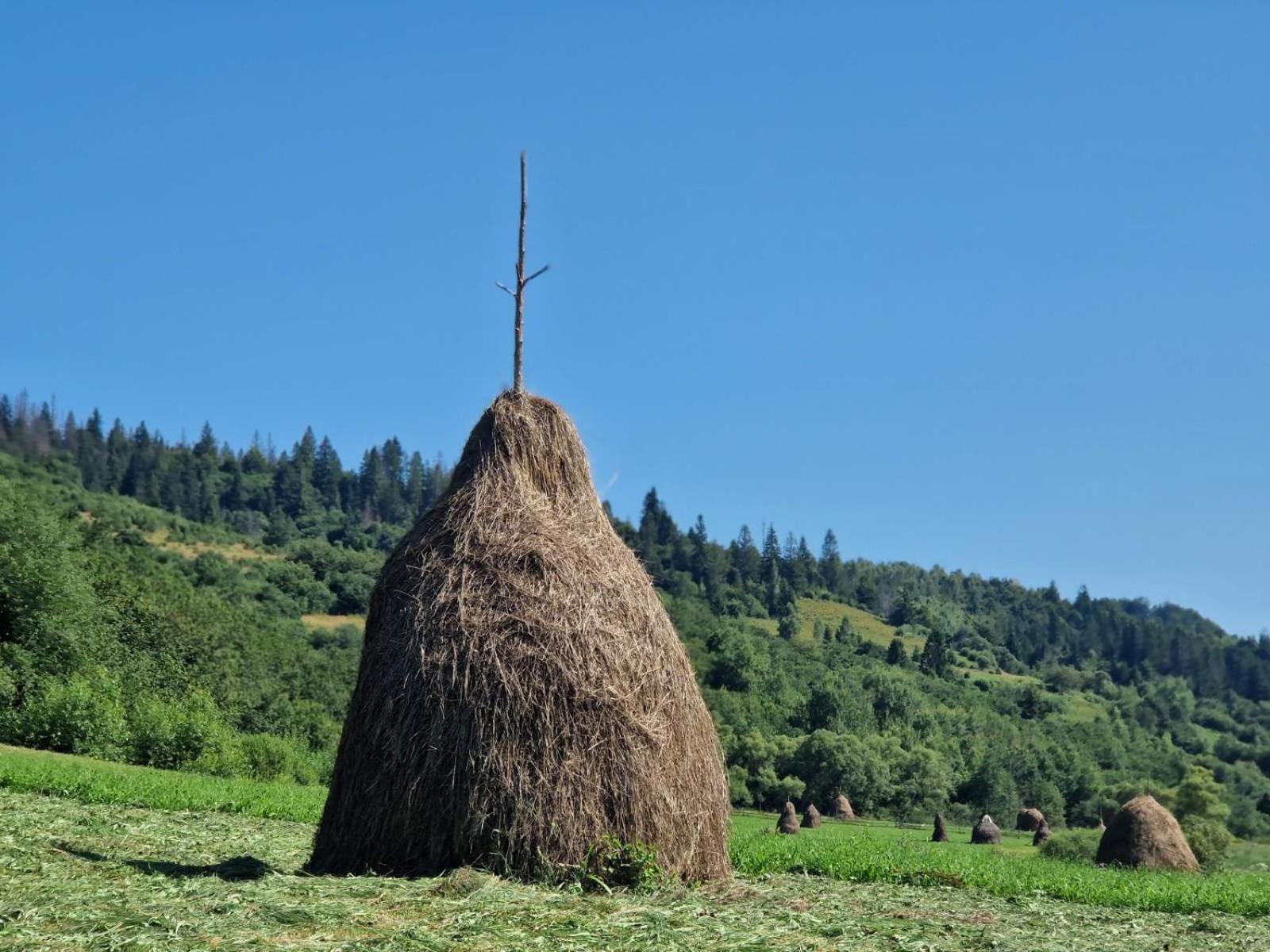 Вілла Річка Exterior foto